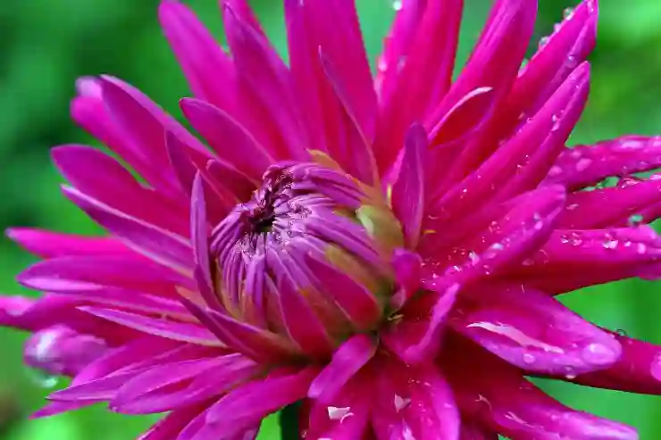 구글 검색결과 새 탭에서 열기