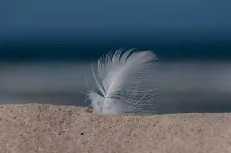 저작권 무료 폰트의 기본, 네이버 나눔글꼴!