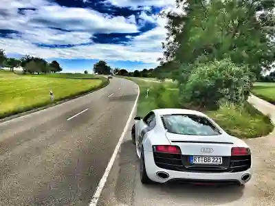 샤크 가벼운 무선 청소기 침구 이불 머리카락 1년 솔직 후기 (장단점)