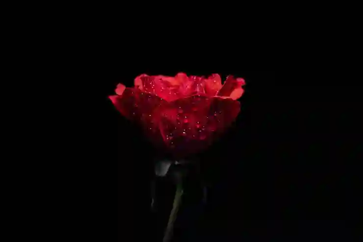 포토스케이프 사용법 - 이미지 크기 조절하기