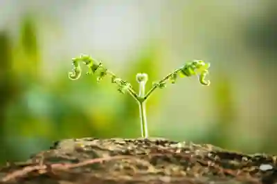 어메이즈핏 티렉스3 프로 아웃도어와 일상 모두 만족한 스마트워치 추천 !