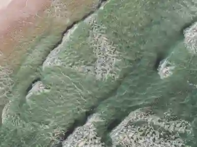 삼성 비스포크 큐커 광파 오븐 형 에어프라이어 추천 모델 2가지