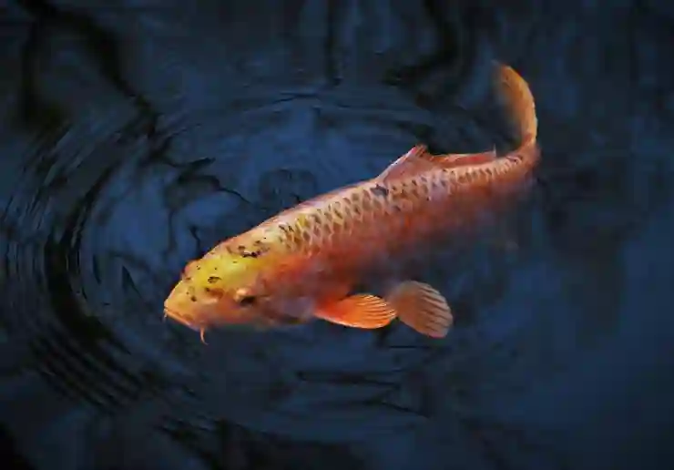 포토샵 연필로 그린듯한 스케치 효과 내기