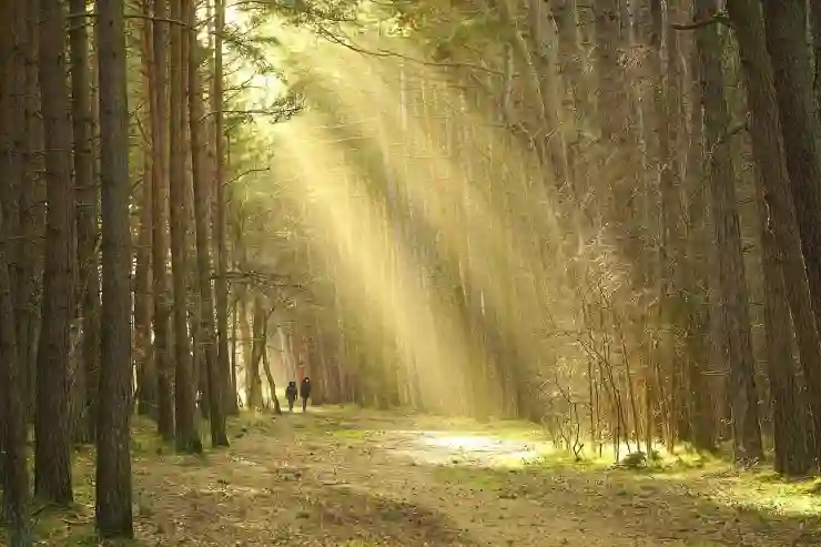 바탕화면에 사이트 바로가기 아이콘 만들기