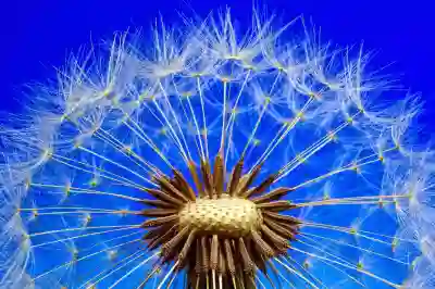 사무실을 스마트하게 바꾸는 이케아 테크템 3가지 알아보자