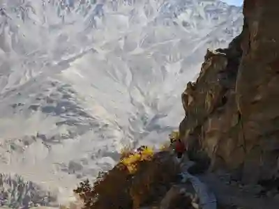 삼성페이 교통카드 사용법과 오류 대처 방법 알아보자