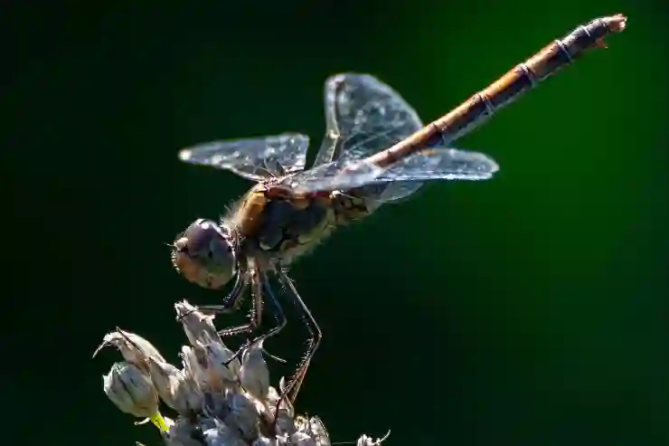 상세한 페이팔 가입 방법과 계좌 등록, 카드 등록 방법