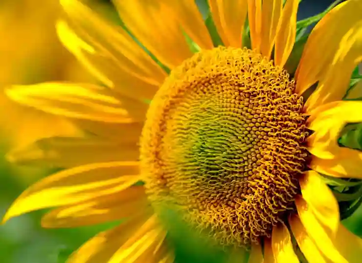 상업용 무료 폰트 – 에스코어드림BI 고딕체