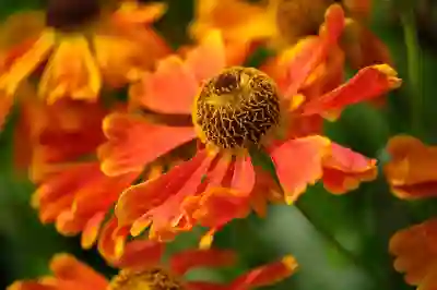 아이폰17 프로 오렌지 색상 포함 4가지 색상 살펴보기