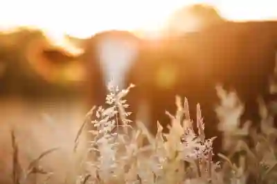 아트리스트 AI 영상 제작과 편집 꿀팁 알아보자