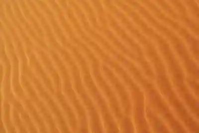 어라운드뷰와 서라운드뷰의 차이점 알아보자