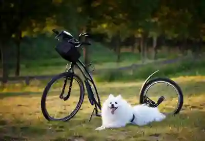 상업용 무료이미지 사이트 추천