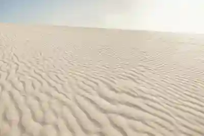 솔라가드 VX 열차단 썬팅 효과와 후기에 대해 알아보자