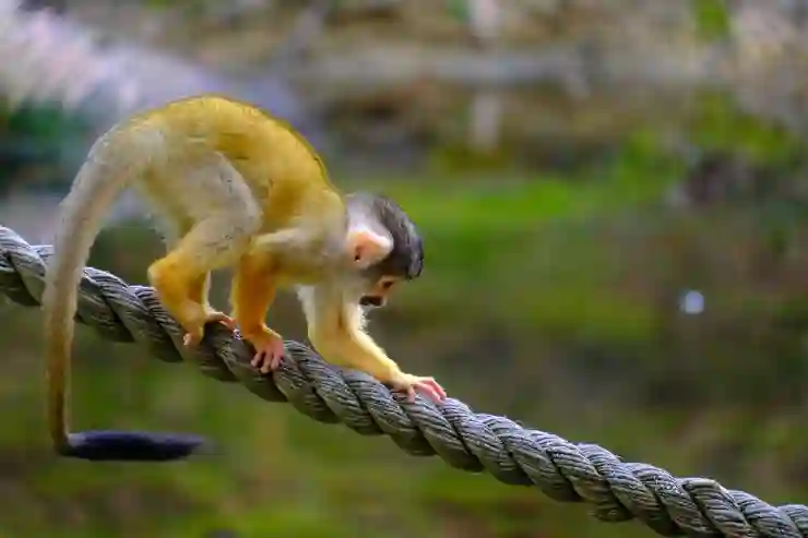 초간단 카카오페이 잔액 표시 안 나오게 숨기기