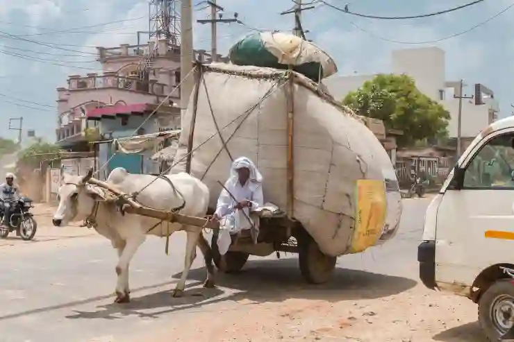 최신버전 지포스 그래픽카드 드라이버 다운받기