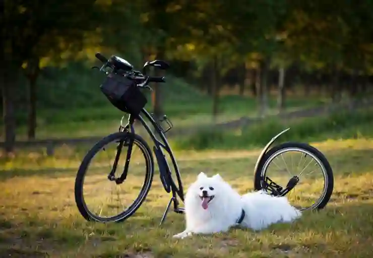 카카오톡에 방송 기능이? 카톡 라이브톡 사용하기