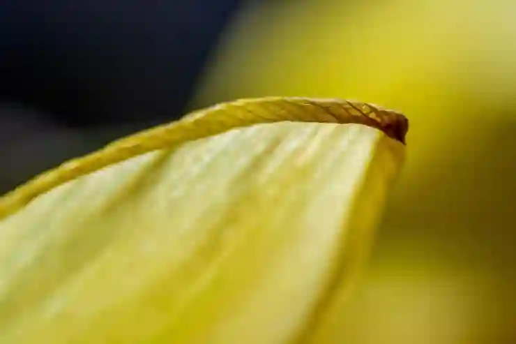 포토샵 강좌 – 병에 라벨 붙이기