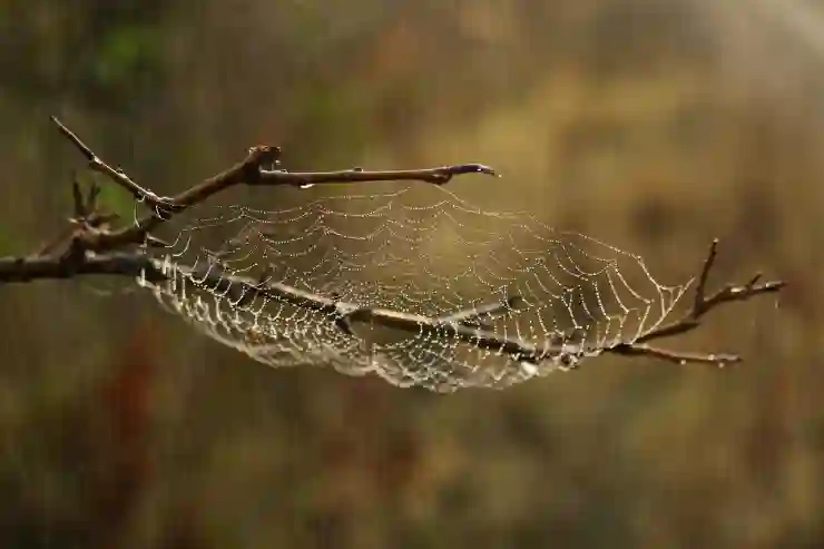 포토샵 웹용으로 저장 오류, 갑자기 안될 때 확인