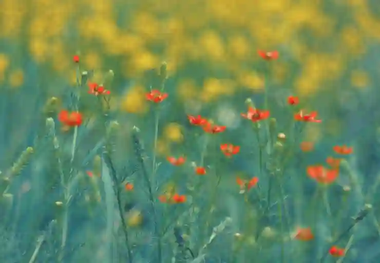 포토샵으로 머리카락 색상 바꾸기