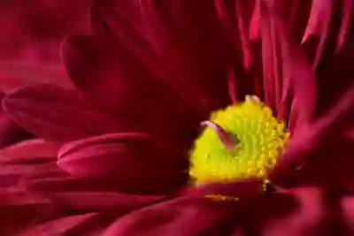 포토샵으로 사진 합치기 방법 살펴보기