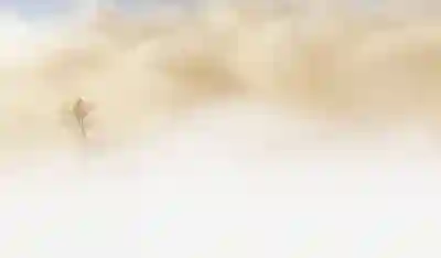 미니 이동식 냉풍기 일우 듀얼미스트의 장점 알아보자