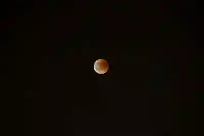 웨이브 요금제 할인 이용권과 무료 사용 방법 알아보자