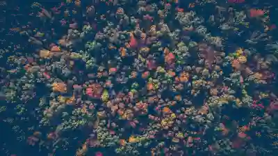 가성비 최고의 미니 드론 DJI 네오 사용 후기 알아보자