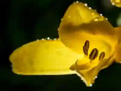 갤럭시 Z 폴드6와 Fold SE의 차이점 살펴보자