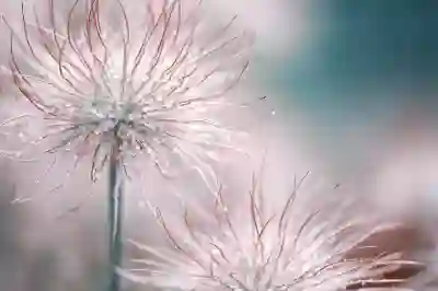 레노버 태블릿 종류별 내수롬과 글로벌롬의 차이점 알아보기