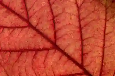 비틀리로 무료 URL 단축하는 꿀팁