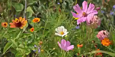 신용등급 무료 체크 방법과 유의사항 알아보기