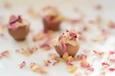 유튜브 프리미엄 우회 갱신을 위한 4가지 방법 알아보자