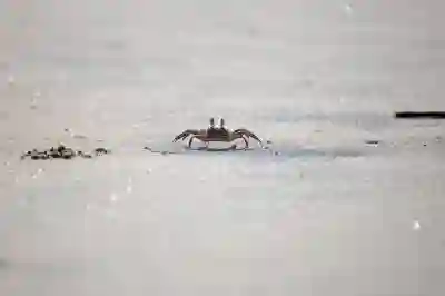 인스타툰 만화 카카오톡 이모티콘 만들기 꿀팁