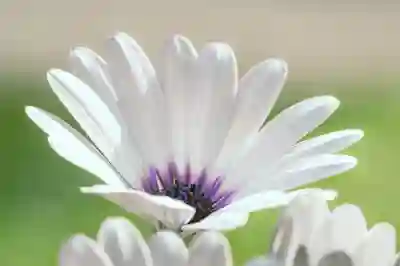 비주얼베이직 엑셀 VBA 매크로 활용법 알아보자