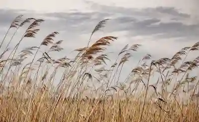 터치가 안 되는 스마트폰 긴급 해결 방법 알아보자
