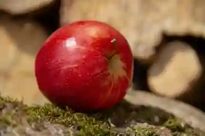 퍼플렉시티 사용법과 가격 차이 알아보자