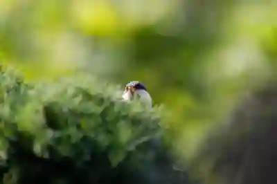 부천시 대상포진 무료접종 신청방법과 대상자 알아보기