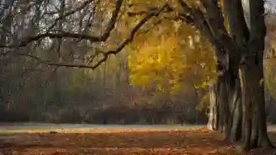 시흥시 EV5 보조금 알아보자