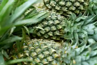 달성군 음식물처리기 지원금 알아보자