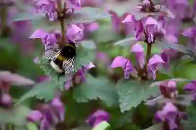 부여군 음식물처리기 지원금 알아보자