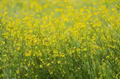 봉천중앙시장 주변 무료주차장 위치 알아보자