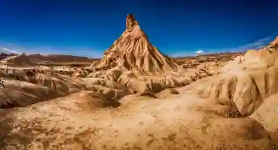 강남구 농식품바우처 가맹점 마트 알아보자