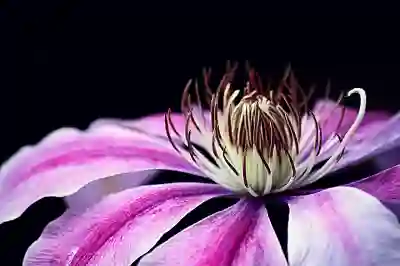 서울 목사랑시장 주변 무료주차장 위치 알아보자