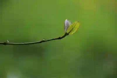 서울 방신전통시장 주변 무료주차장 위치 알아보자