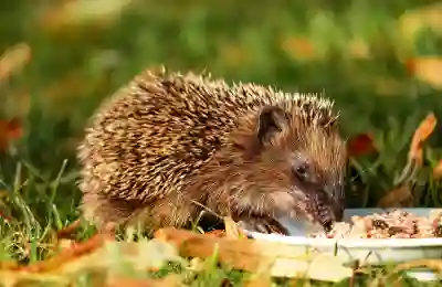 인왕시장 주변 무료주차장 위치 알아보자