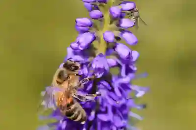 인스타그램 계정 비활성화 하는 방법 알아보자