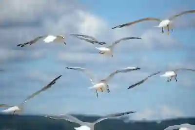 아이폰에서 나의 아이폰 찾기 해제하는 방법 살펴보자