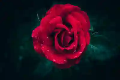 부산 67번 버스로 가는 여행 코스 살펴보자