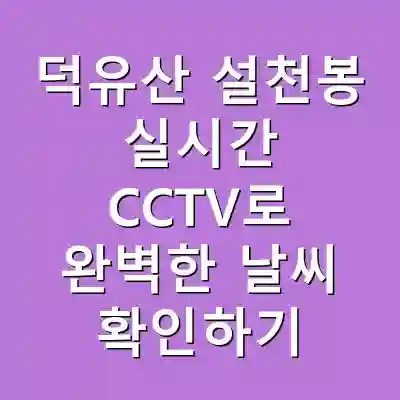 덕유산 설천봉 실시간 CCTV로 완벽한 날씨 확인하기