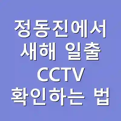 정동진에서 새해 일출 CCTV 확인하는 법